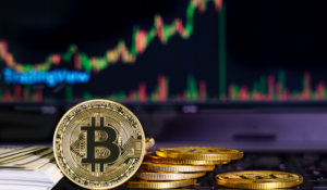 Build Consistent Trading Confidence Through Professional Market Training